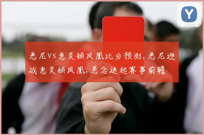 悉尼vs惠灵顿凤凰比分预测,悉尼迎战惠灵顿凤凰,悬念迭起赛事前瞻